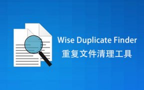 重复文件清理工具 Wise Duplicate Finder Pro v2.1.9.71 便携版