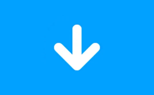 视频下载工具 Any Video Downloader Pro v10.1.6 便携版