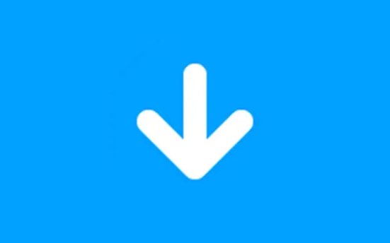 视频下载工具 Any Video Downloader Pro v9.5.1 便携版