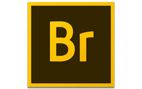 数字资产管理软件 Adobe Bridge 2019 v9.1.0.338