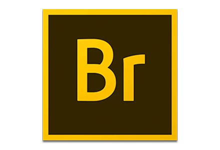 数字资产管理软件 Adobe Bridge 2019 v9.1.0.338