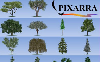 Pixarra TwistedBrush Tree Studio v4.17 2D树木创建工具