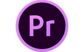 Pr全套插件一键安装包Pro v4.1.2 无需注册码