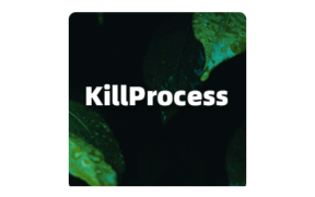 KillProcess v4.3 可以结束Win系统任何进程的工具