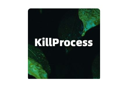 KillProcess v4.3 可以结束Win系统任何进程的工具