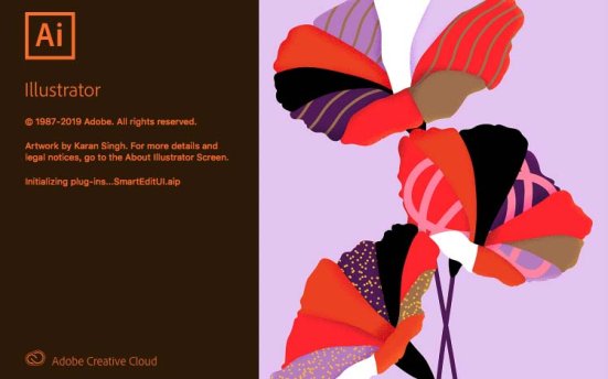 矢量图形设计软件 Adobe Illustrator 2020 v24.3.0.569