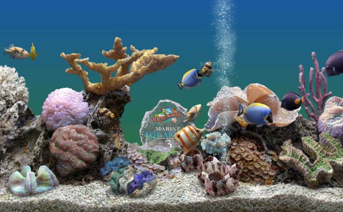 屏幕保护程序 SereneScreen Marine Aquarium v3.3.6381 破解版