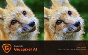黄玉AI图像无损放大工具 Topaz Gigapixel AI v5.8.0 便携版 附AI模型包