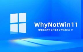 WhyNotWin11 v2.6.1.1 看看自己为什么升级不了Windows 11