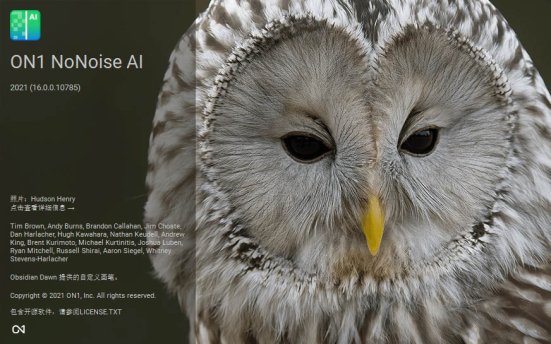 ON1 NoNoise AI 2021 v16.0.1.10861 图像降噪工具