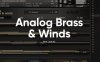 Analog Brass & Winds  – Kontakt 模拟铜管乐器音色库