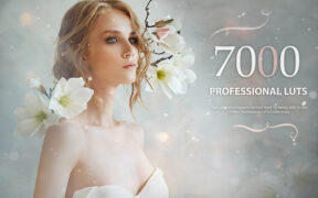 Avanquest 7000+ Professional LUTs 7000多个专业级LUTs调色预设