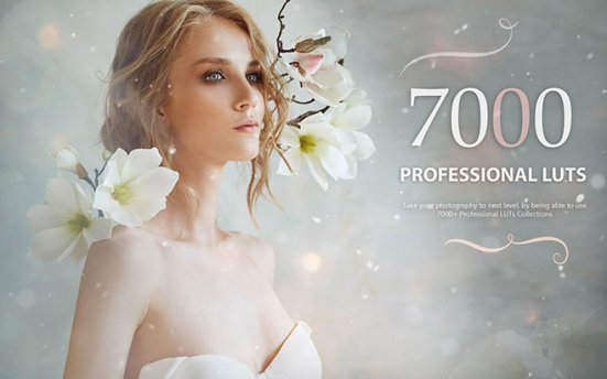 Avanquest 7000+ Professional LUTs 7000多个专业级LUTs调色预设