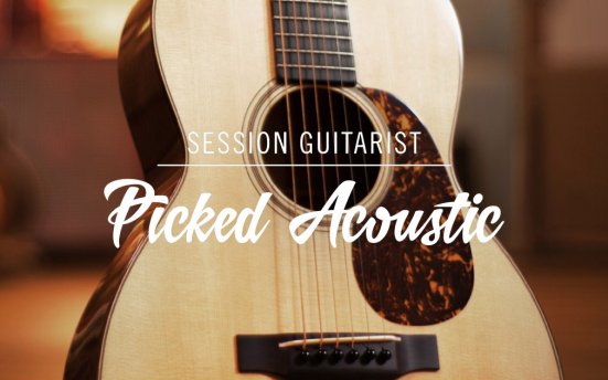 Native Instruments Session Guitarist Picked Acoustic v1.1.0 (KONTAKT) 复古钢弦原声吉他音源