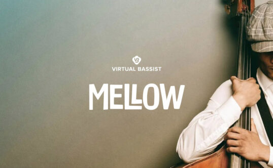 UJAM Virtual Bassist MELLOW v2.1.1 原声虚拟指弹贝斯手插件