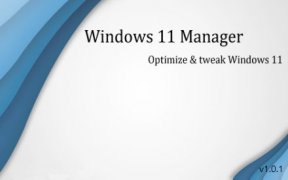 Win11系统优化工具 Yamicsoft Windows 11 Manager v1.4.4 便携版
