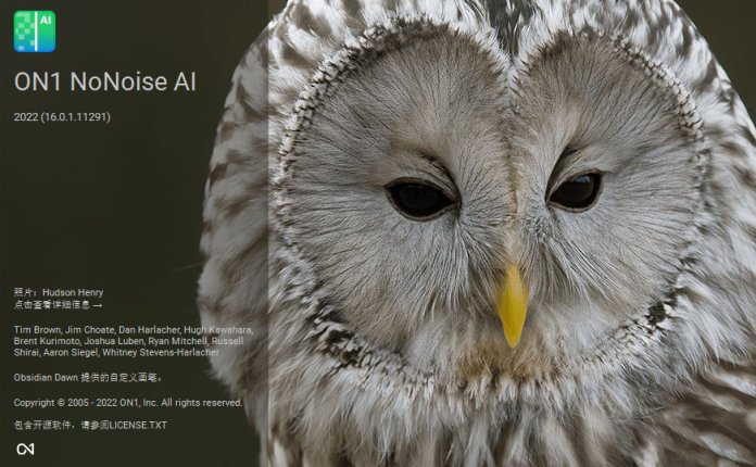 ON1 NoNoise AI 2022.5 v16.5.1.12526 智能图像降噪工具