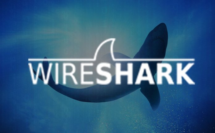 Wireshark v4.4.3 网络协议分析工具