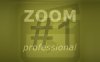 图像无损放大软件 Franzis ZOOM #1 professional v1.14.03607 破解版