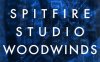Spitfire Audio Spitfire Studio Woodwinds – Kontakt木管乐器音色库
