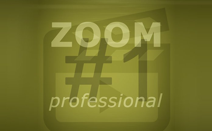 图像无损放大软件 Franzis ZOOM #1 professional v1.14.03607