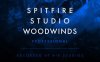 Spitfire Audio Spitfire Studio Woodwinds Professional – Kontakt专业级木管乐器音色库