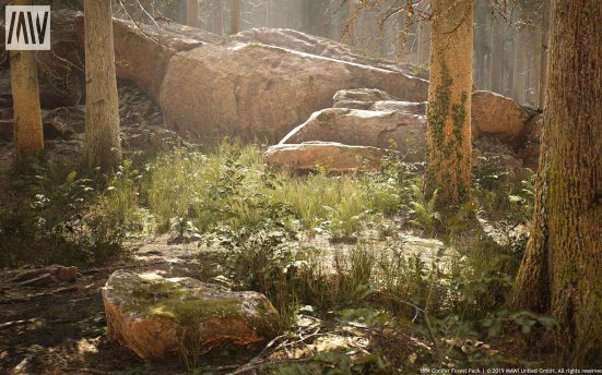 MAWI United GmbH MW Conifer Trees Forest Biome – 逼真的针叶林树木模型场景UE4资产包