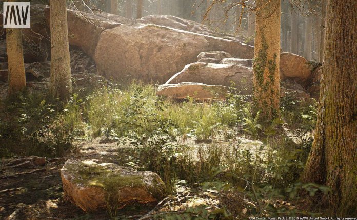 MAWI United GmbH MW Conifer Trees Forest Biome – 逼真的针叶林树木模型场景UE4资产包