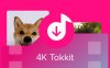 TikTok视频下载工具 4K Tokkit v1.4.2.410 便携破解版