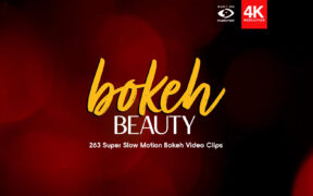 BusyBoxx V15 Bokeh Beauty – 263个散景光斑效果4K视频素材