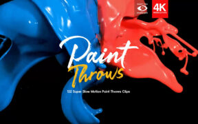 BusyBoxx V12 Paint Throws – 132个含有Alpha通道的油漆泼溅效果4K视频素材