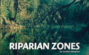 Boom Library Riparian Zones – 自然界河岸边天气动物环境音效包