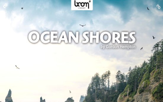 Boom Library Ocean Shores – 自然界海洋海岸野生动物和天气环境音效包