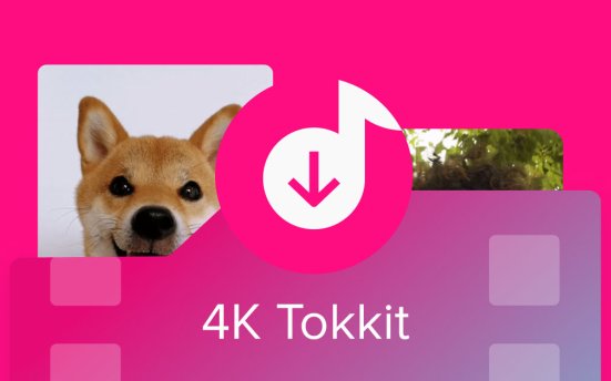 TikTok视频下载工具 4K Tokkit v25.1.0.1020 便携版