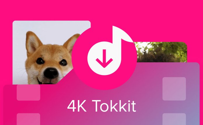 TikTok视频下载工具 4K Tokkit v25.4.2.1080 便携版