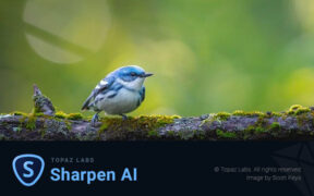 黄玉AI图像锐化工具 Topaz Sharpen AI v4.1.0 便携版