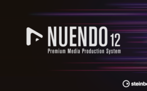 Steinberg Nuendo v12.0.20-V.R
