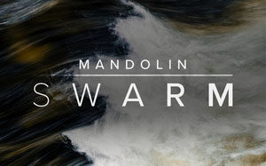 Spitfire Audio Mandolin Swarm – Kontakt曼陀林音色库