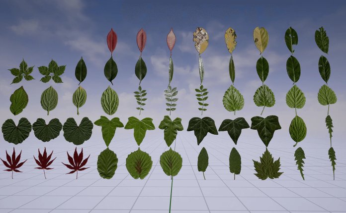 Klian Photorealistic Leaves Foliage Pack 4K – 逼真的树叶模型UE4资产包