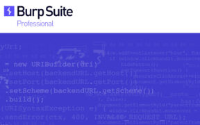 Burp Suite Professional v2025.12.4 网络安全测试工具包