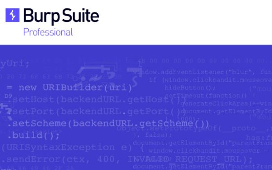Burp Suite Professional v2022.12.6 网络安全测试工具包