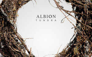 Spitfire Audio Albion V Tundra - Kontakt纳维亚管弦乐音色库