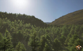 Dragon Motion Forest Trees Plants and Grass. Part – 森林树木植物场景模型虚幻引擎资产包