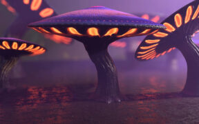 Game-Ready Fantasy Mushrooms Collection – 奇幻魔幻的蘑菇模型虚幻引擎资产包