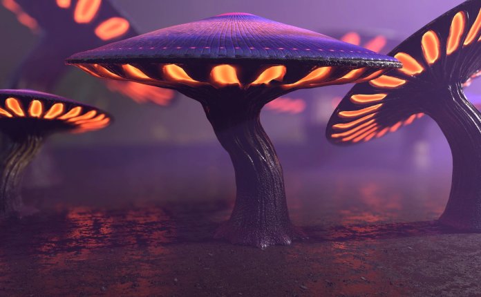 Game-Ready Fantasy Mushrooms Collection – 奇幻魔幻的蘑菇模型虚幻引擎资产包
