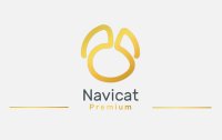 数据库开发工具 Navicat Premium v16.0.14 破解版