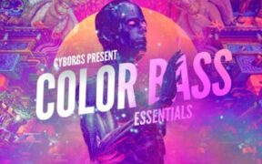 Black Octopus Sound Color Bass Essentials – 彩色低音精华音效包