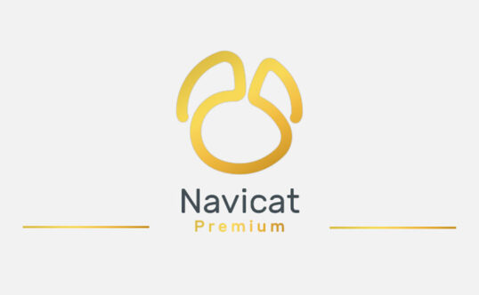 Navicat Premium v17.0.13 数据库开发工具