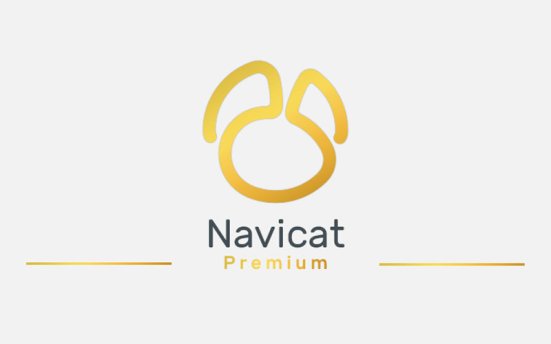 Navicat Premium v17.0.13 数据库开发工具