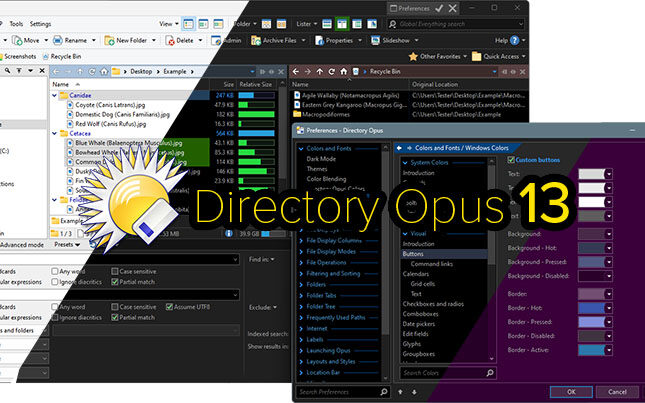 Directory Opus Pro v13.20.6 专业文件管理工具